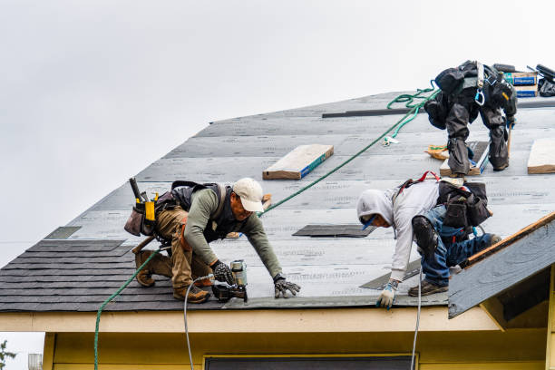 Professional Roof Replacement technician working in Applegate, MI
